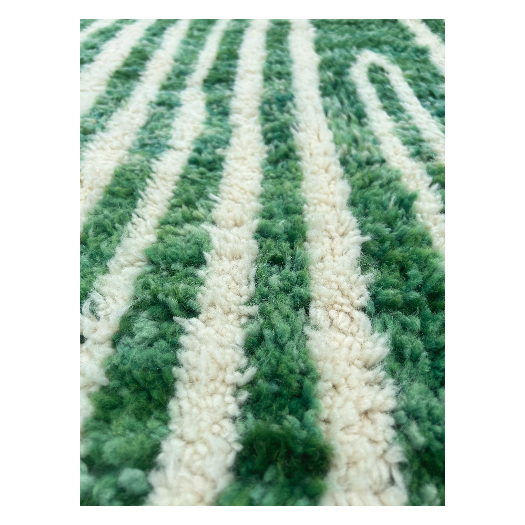 Green Zebra
