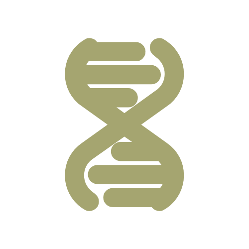 Alt Image