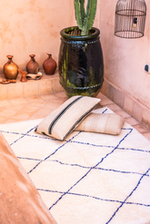 Blue Beni Rug | Exotic & Stylish Rug | Ima Rugs