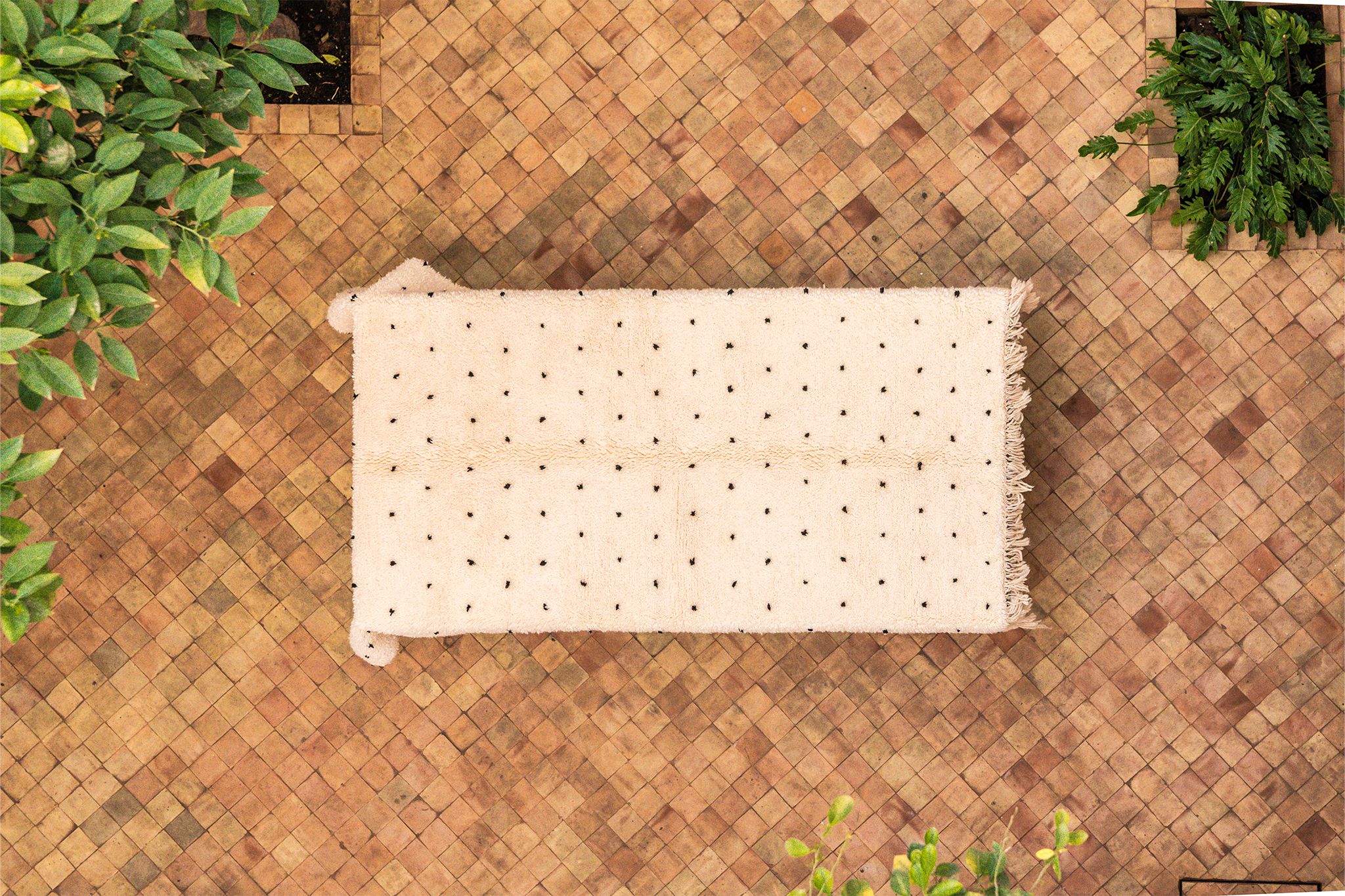 Classic Dot Rug | Dot Ourain Rug | Ima Rugs